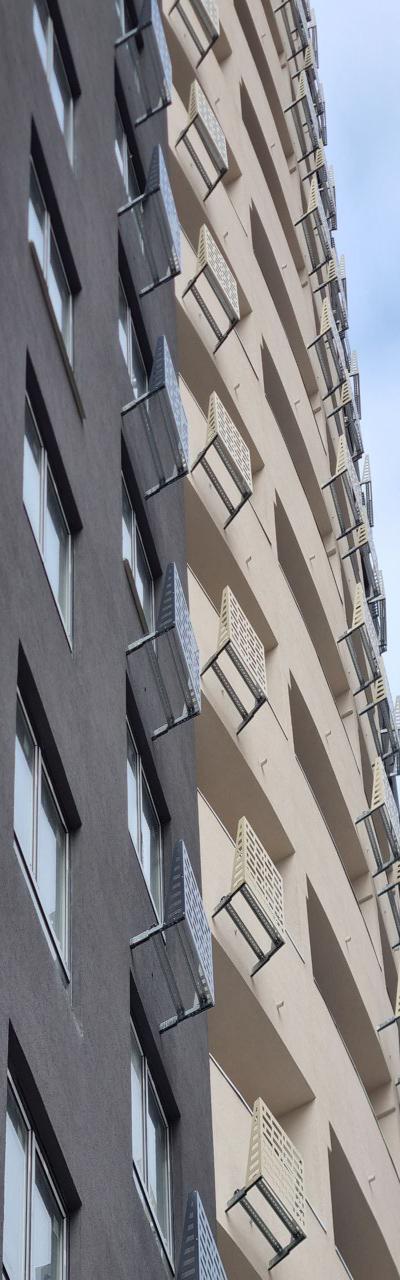 Мысықтың көзі ісіп, ашылмайды.